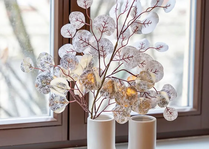 Md-1 Heidestrasse-zentrumsnah-2 Schlafzimmer-voll Ausgestattet